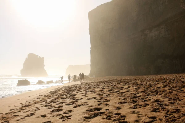 Gün batımında sahilde inanılmaz güneş ışığı. Oniki Havari, Deniz Ulusal Parkı, Victoria, Avustralya 'da yürüyor.