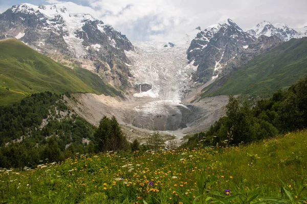 Panoramic view of the Chkhunderi Pass in the snowy Caucasus mountain range, surrounded by forest and wild flora. Mestia-Ushguli trekking, Georgia. 