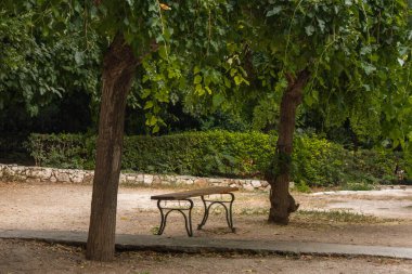 Lone bench surrounded by trees, in the National Garden of Athens, Greece. 