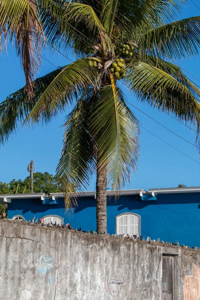 House wall with home security system with cut glass bottles in Sao Pedro da Aldeia, on a sunny day, Cabo Frio, Brazil.