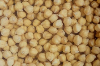 Nohut, arka plan olarak kompozisyon. Baklayı ıslat. Madrid güveç hazırlığı.