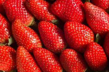 Taze mevsimlik çileklerin yakın çekimi. Ormanın meyveleri ve sağlıklı yiyecekler. Arkaplan olarak organik doku.