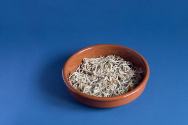 Renkli mavi dokulu stüdyo arka planında sarımsaklı ve karidesli baharatlı bebek yılan balıklarıyla klasik kil kasesi. Tabak yemek..