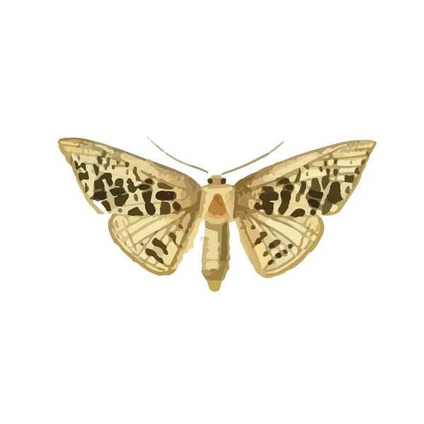 白い背景にカラフルな翼とアンテナを持つモナーク蝶 空飛ぶ蛾のトップビュー 豪華なエキゾチックな春の昆虫 カラーフラットテクスチャベクトルイラスト — ストックベクタ