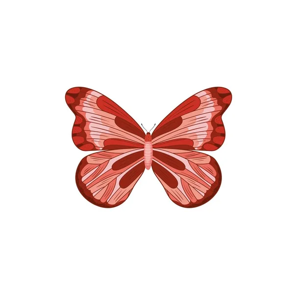 Mariposa Monarca Con Alas Coloridas Antenas Aisladas Sobre Fondo Blanco — Vector de stock