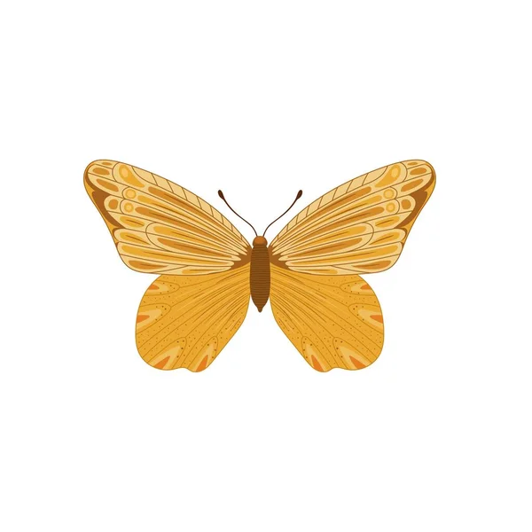 Mariposa Monarca Con Alas Coloridas Antenas Aisladas Sobre Fondo Blanco — Vector de stock
