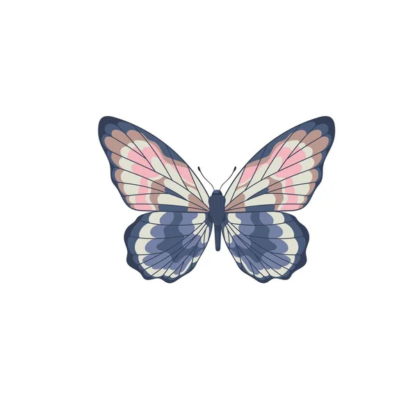 Papillon Monarque Aux Ailes Colorées Aux Antennes Isolées Sur Fond — Image vectorielle