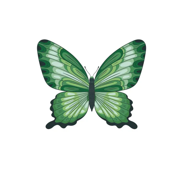 Mariposa Monarca Con Alas Coloridas Antenas Aisladas Sobre Fondo Blanco — Vector de stock