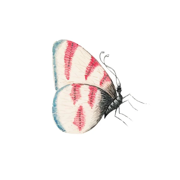 Монарх Метелик Різнокольоровими Крилами Антенами Ізольовано Білому Тлі Досить Літаючий — стоковий вектор