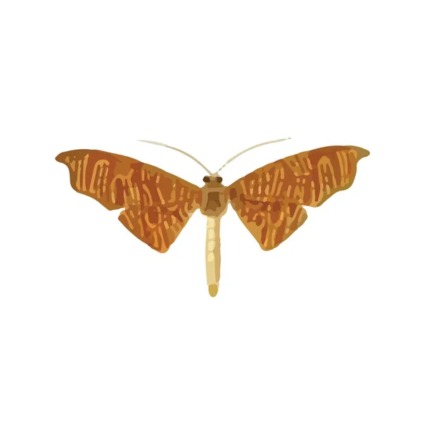 白い背景にカラフルな翼とアンテナを持つモナーク蝶 空飛ぶ蛾のトップビュー 豪華なエキゾチックな春の昆虫 カラーフラットテクスチャベクトルイラスト — ストックベクタ