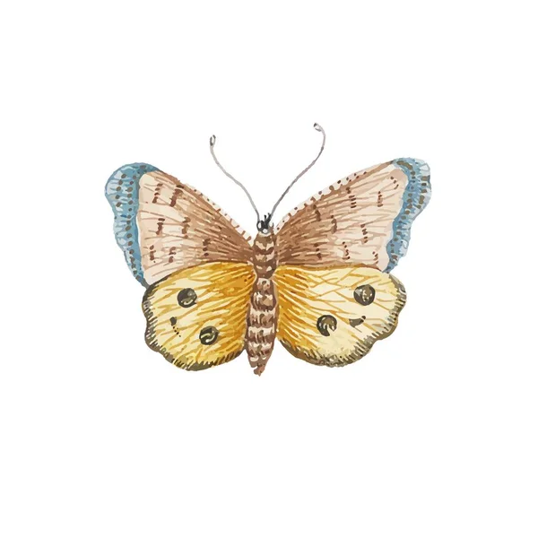 Mariposa Monarca Con Alas Coloridas Antenas Aisladas Sobre Fondo Blanco — Vector de stock