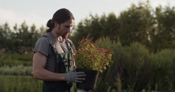 Bearded Male Farmer Apron Gloves Inspecting Potted Plant Work Garden — Stockvideo