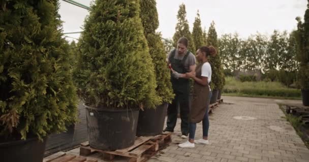 Samec Zahradník Ukazuje Černošky Kolegyně Jak Řezat Větve Stromů Při — Stock video