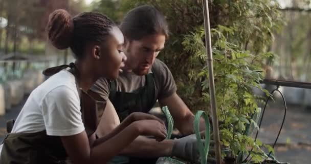 Diverse Mannelijke Vrouwelijke Boeren Controleren Bespreken Potplanten Zak Terwijl Samenwerken — Stockvideo