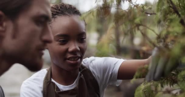 Black Female Farmer Touching Discussing Tree Twig Man Work Garden — Video
