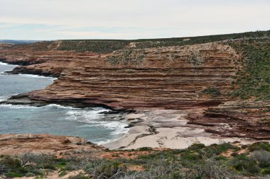 Kartal Vadisi Gözcüsü Kalbarri Ulusal Parkı
