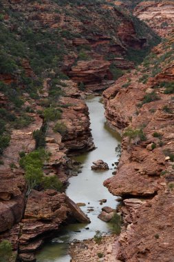 Z Virajı Manzarası Kalbarri Ulusal Parkı 