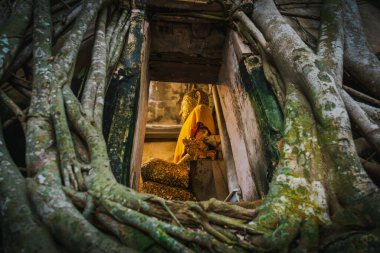 Samut Songkhram-Tayland - 23 Ekim 2021: Buda heykeli ağaç kökleri Bang Kung Camp ile kaplı bir binada kutsanmıştır