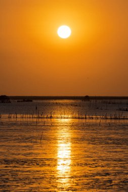 Ufukta gün batımı deniz kenarında