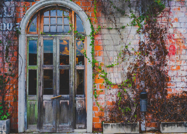 Old wooden door with orange brick walls and ivy.