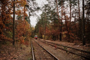 Sonbahar ormanda tramvay