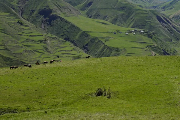 Doğa sahnesinin resimsel görüntüsü