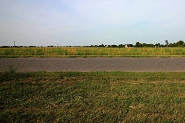 güzel doğanın resimsel manzarası