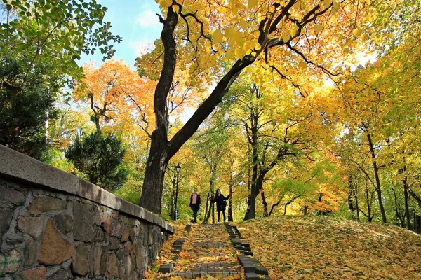 Ağaçlar ve yapraklarla dolu sonbahar manzarası