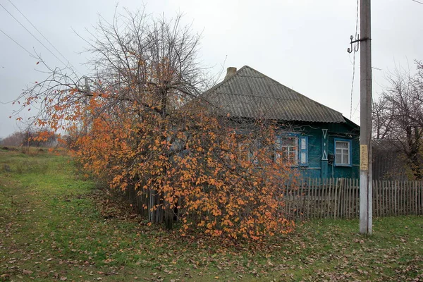 Krásný Výhled Přírodu — Stock fotografie