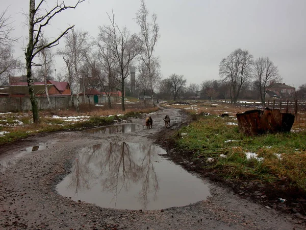 Старый Заброшенный Дом Городе — стоковое фото