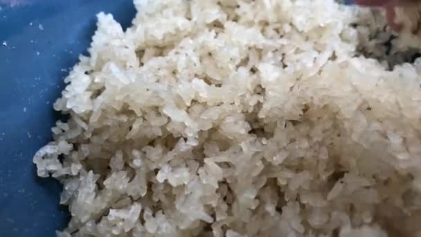 Arroz Cozido Comida Tradicional Arroz Velho Seco Sol — Vídeo de Stock