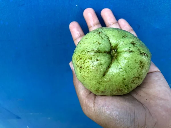 Het Deel Van Guava Vrucht Met Zachte Rug Groen Wit — Stockfoto