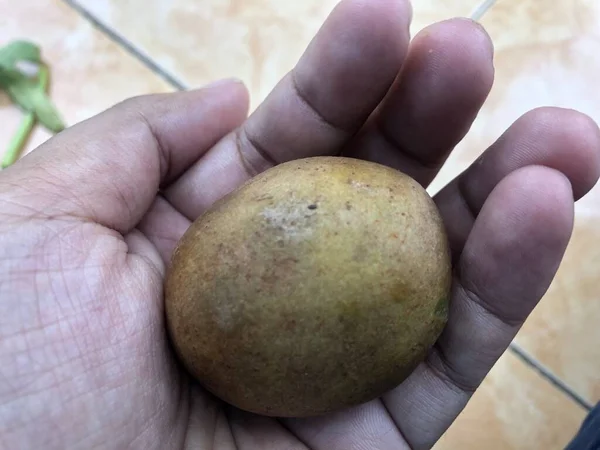 Helften Van Sapodilla Fruit Met Een Zachte Rector Die Rijp — Stockfoto