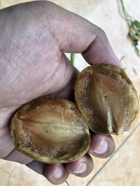 一半的番石榴果 有一个成熟的褐色的软校长 — 图库照片