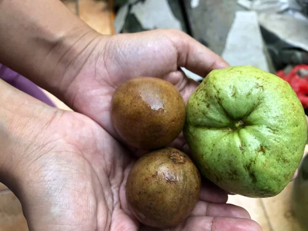 Guayaba Sapodilla Fruta Palma —  Fotos de Stock