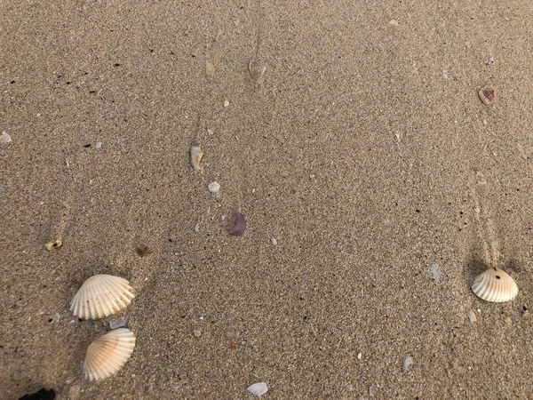 Вид Море Песком Пляже — стоковое фото
