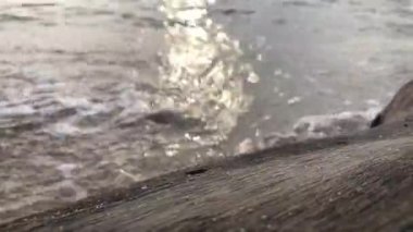 Okyanus dalgaları günbatımında yavaşça hareket ediyor