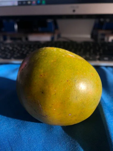 Close Yellow Blue Apple — Stock Photo, Image