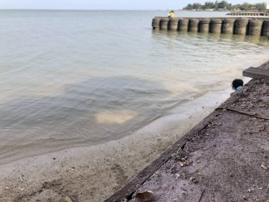 Güzel deniz manzarası