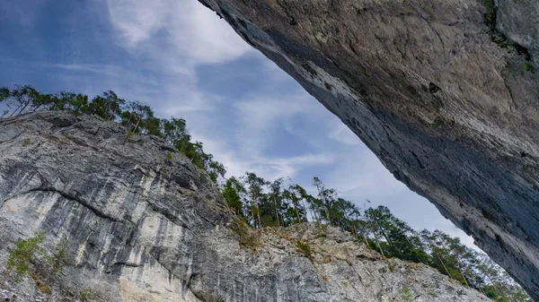Parkta patika - botanik bahçesi Iasi