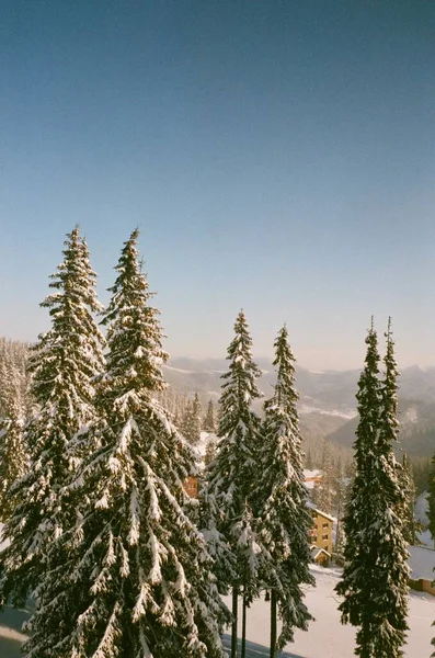 モミの木がある雪の山の家 — ストック写真