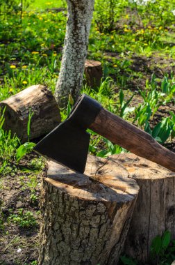 Balta ve odun. Kış için odun hazırlıyorum..