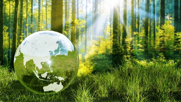 Yeşil bir orman üzerinde Dünya gezegeni kristal küresi.