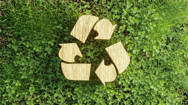 Conceito Ecológico Textura Madeira Ícone Reciclagem Folhas Grama Verde Renderização — Fotografia de Stock