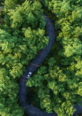 Ormanda maceraperest bir yolculuk, ormandaki bir arabanın fotokopi alanındaki hava manzarası. Yeniden Yolda kavramı. 
