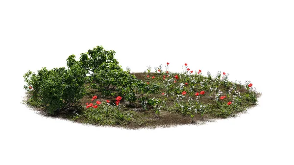 Utskurna Träd Och Blommor Trädgårdsdesign Isolerad Vit Bakgrund Dekorativ Buske — Stockfoto