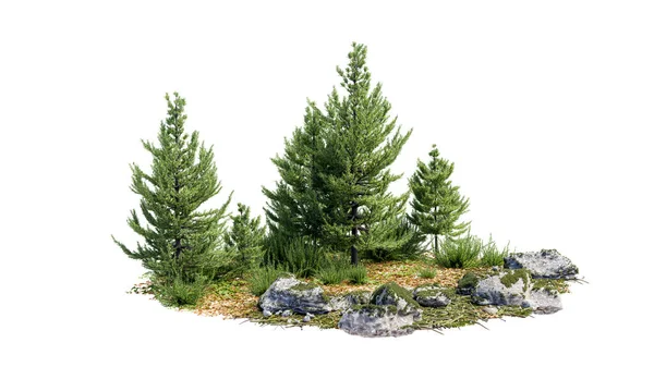 Cutout Rock Surrounded Fir Trees Garden Design Isolated White Background — ストック写真