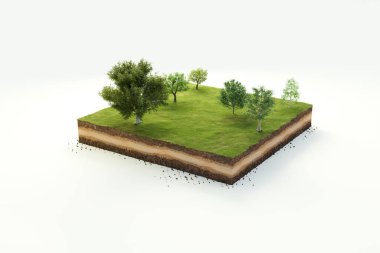 3D cubical garden grass land with trees, soil geology cross section, 3D Illustration ground ecology isolated on white background