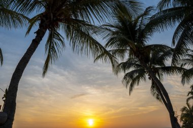 Romantic sunset with palm trees on the beach