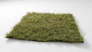 Çiçekli çim tarlasının karesinin 3B Görünümü 